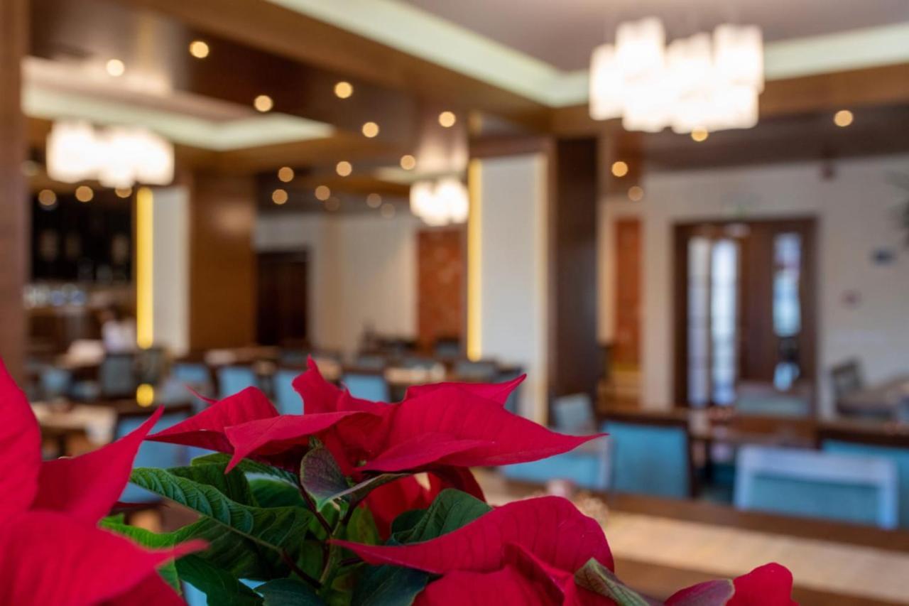 Hotel Buchenland Gura Humorului Zewnętrze zdjęcie